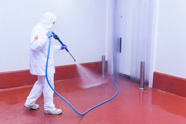 Best Restaurant Pressure Washing  in , NH